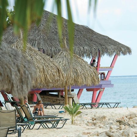 Divi Dutch Village Beach Resort Палм Бийч Екстериор снимка