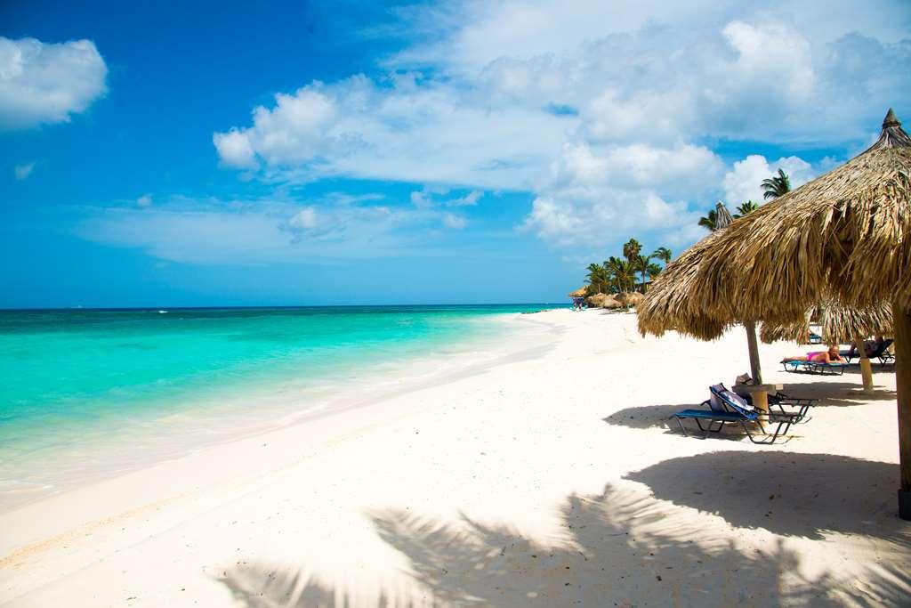 Divi Dutch Village Beach Resort Палм Бийч Природа снимка
